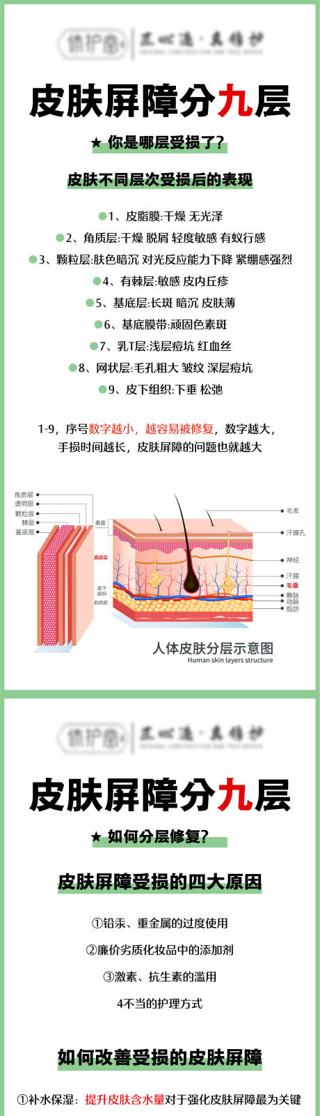 源文件下载【享设计】搜索编号：40650024145558365【皮肤屏障知识】