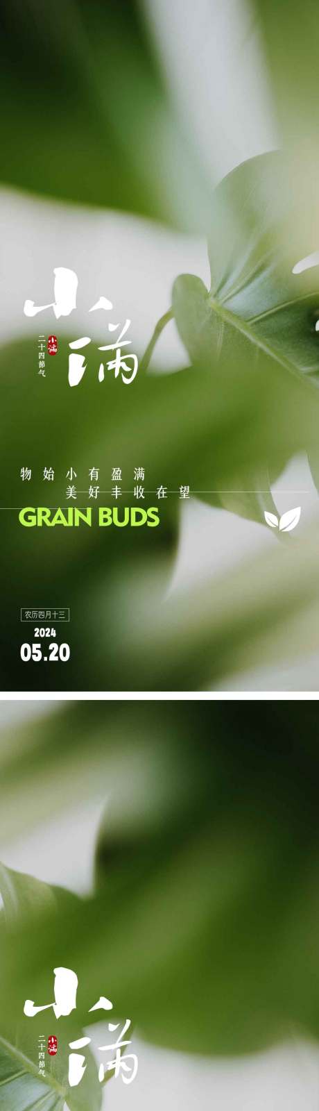 源文件下載【小滿節(jié)氣海報  】編號：47340023706862144