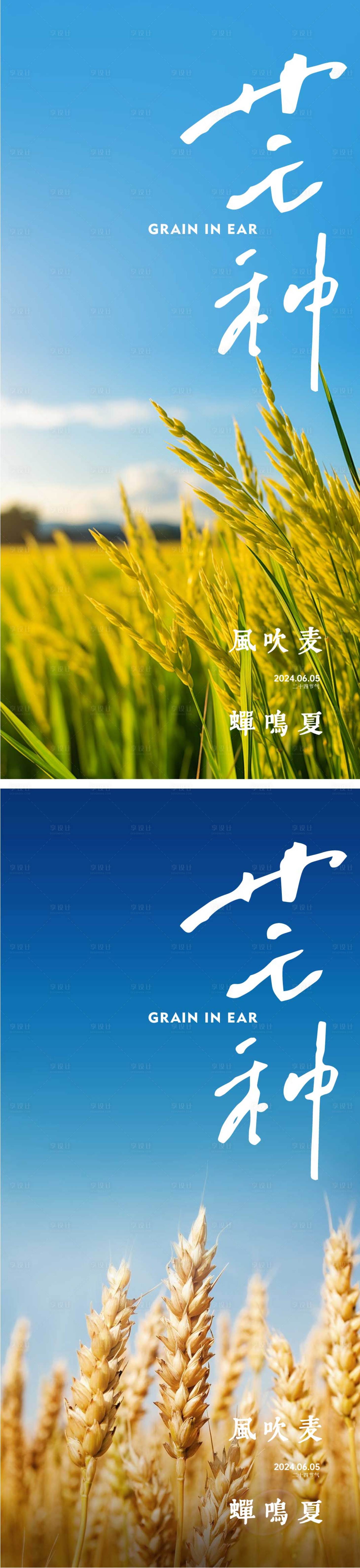源文件下载【享设计】搜索编号：73960023884211227【芒种节气海报】