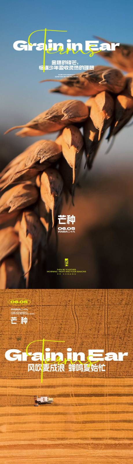 源文件下载【芒种节气海报】编号：71230024134097076