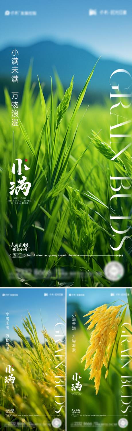 源文件下载【小满节气海报】编号：17320023855709524
