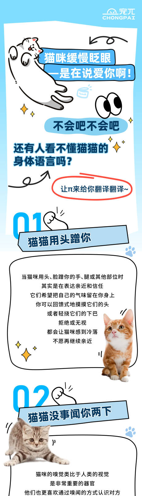 源文件下载【宠物知识互动长图 】编号：84530023953165560