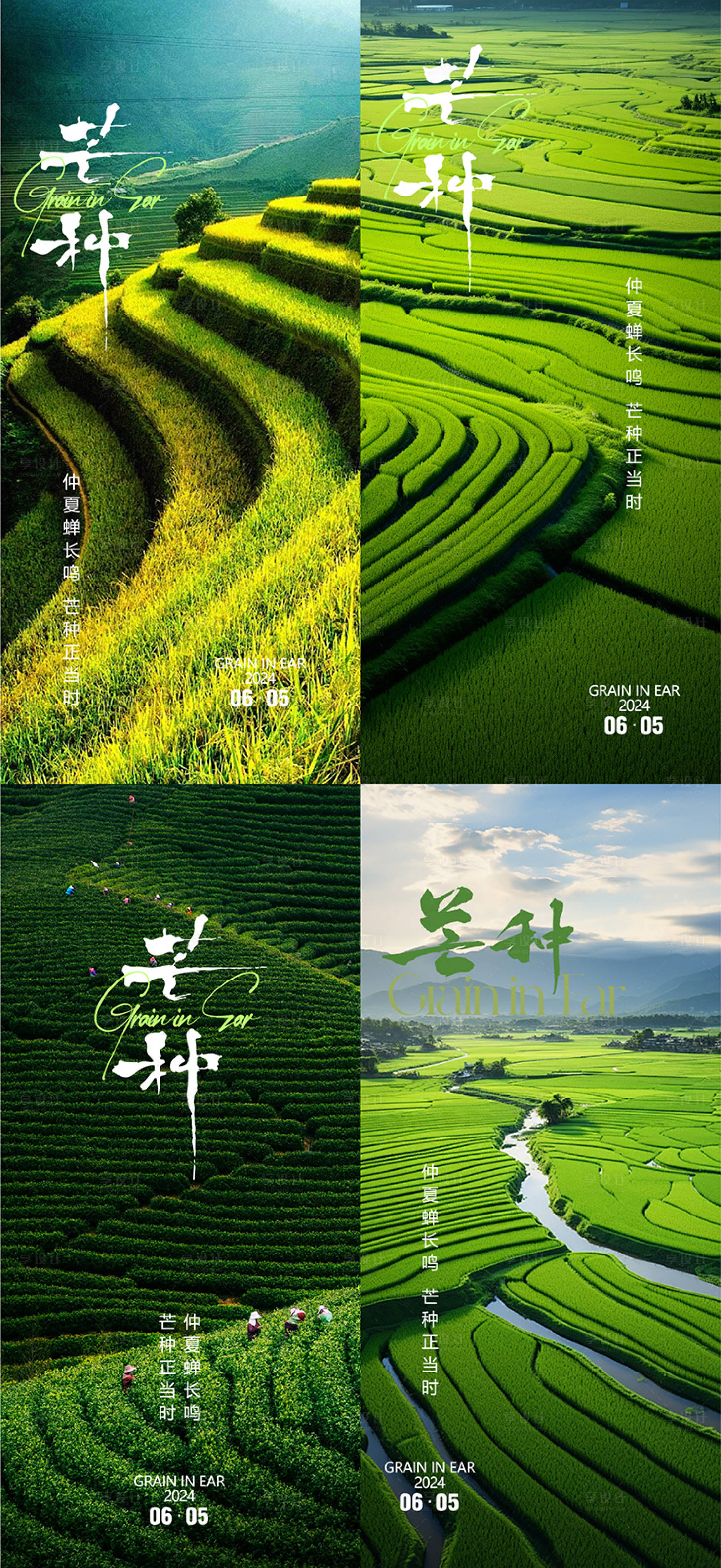 源文件下载【芒种节气移动端海报】编号：49750024186059892
