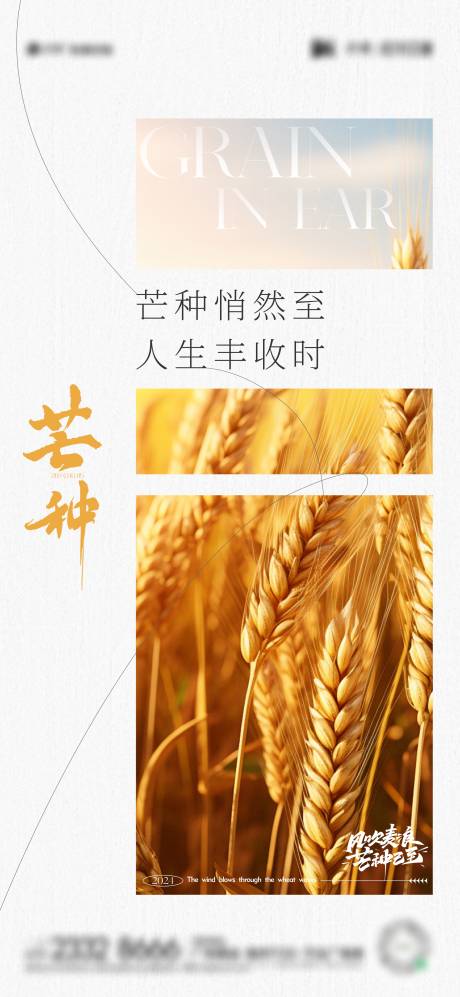 源文件下載【享設(shè)計】搜索編號：87410024208613443【芒種節(jié)氣海報】