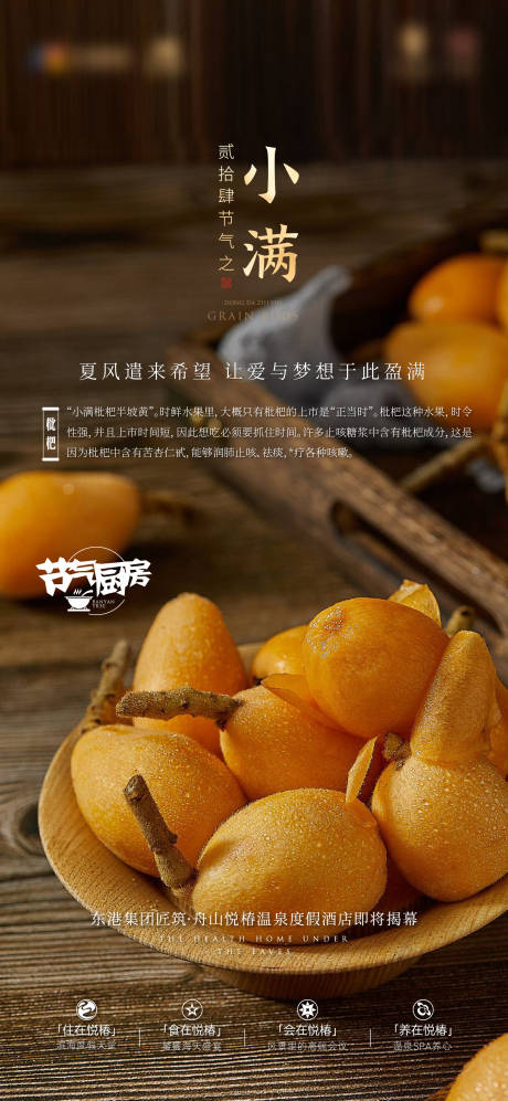 源文件下载【小满节气海报】编号：56730024012638931