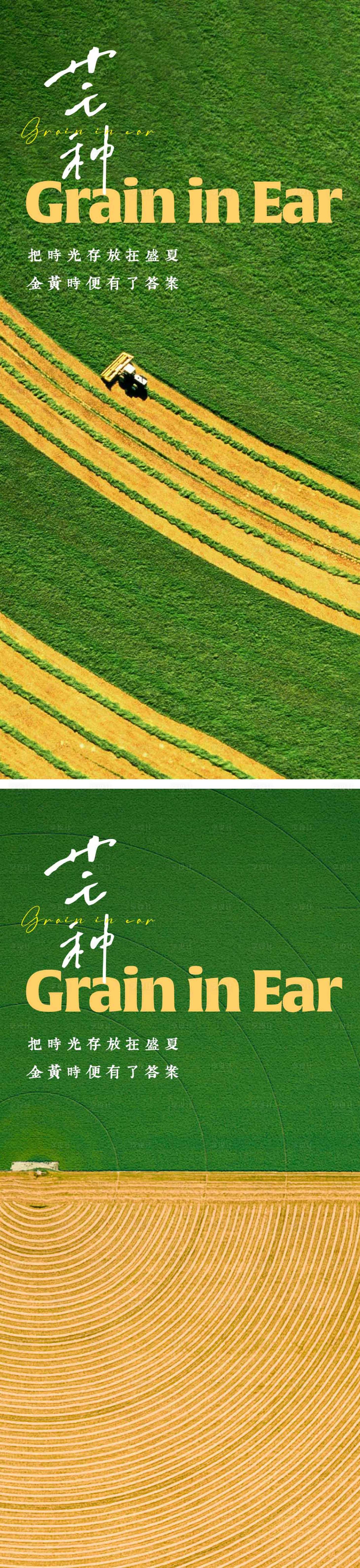 源文件下载【享设计】搜索编号：56910023930109281【芒种节气海报】