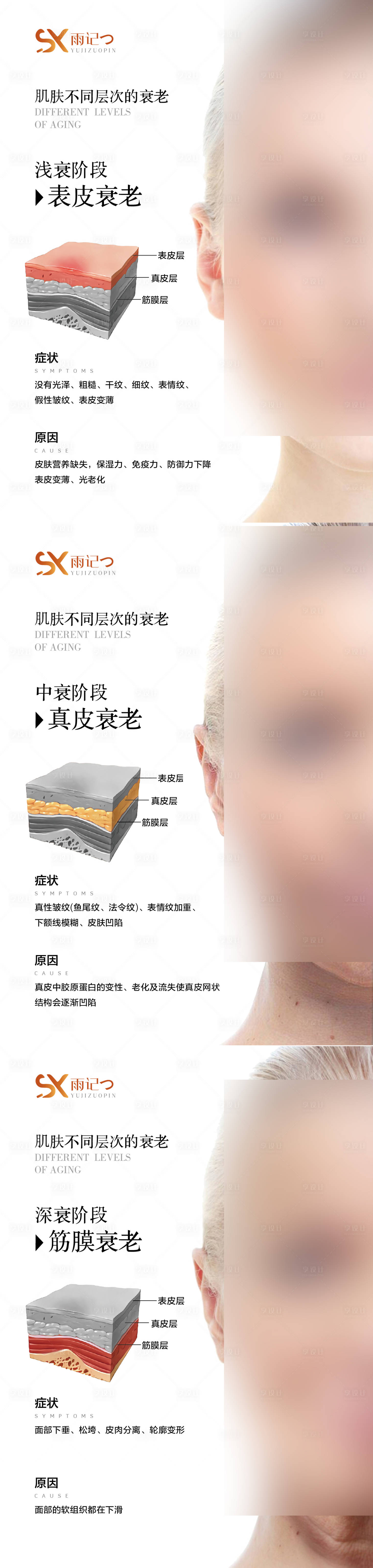 源文件下載【享設(shè)計(jì)】搜索編號(hào)：32960024062863745【肌膚不同層次的衰老海報(bào)】