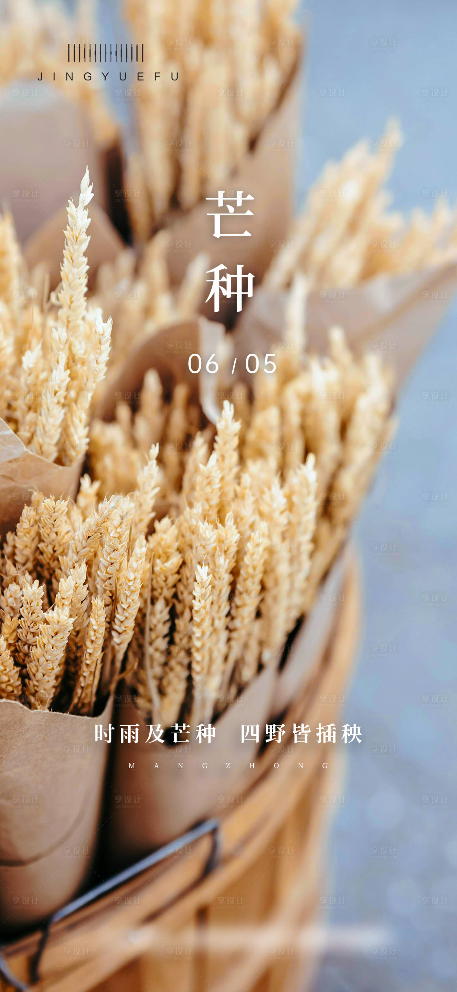 源文件下载【芒种节气】编号：92390024250801859