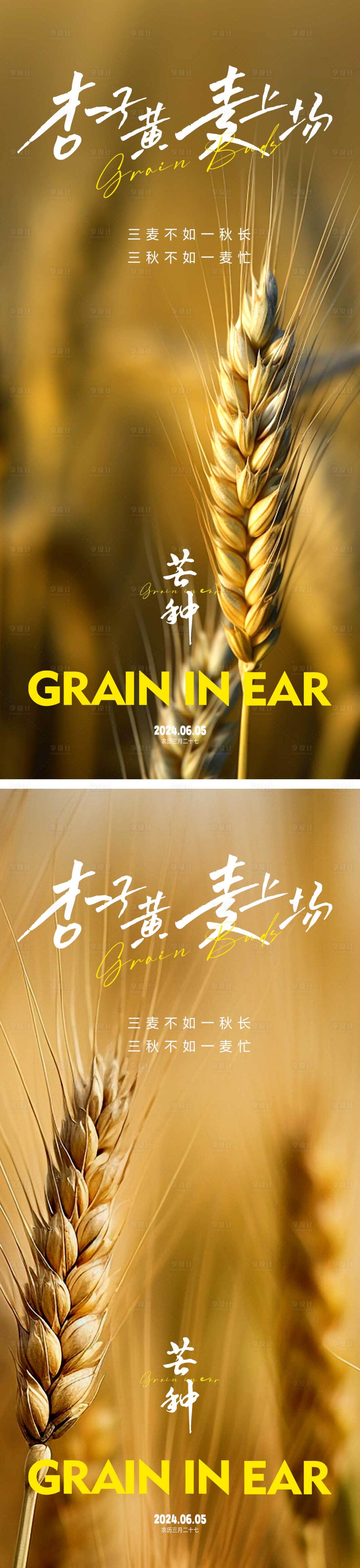 源文件下載【享設計】搜索編號：27740023910615648【芒種節氣海報】