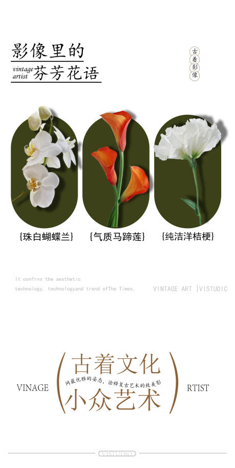 源文件下载【花海报】编号：31470023913826044