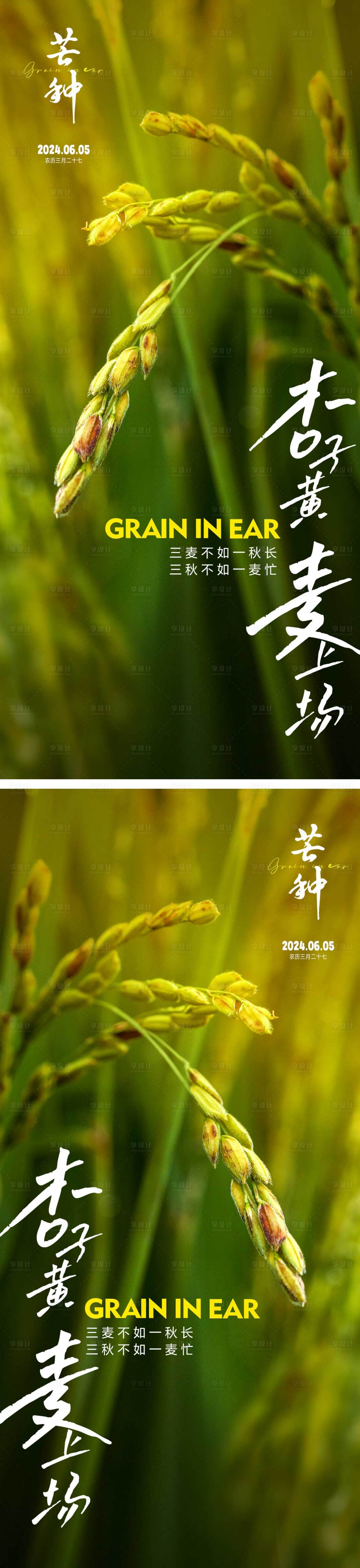 源文件下载【享设计】搜索编号：47260023910653708【芒种节气海报】