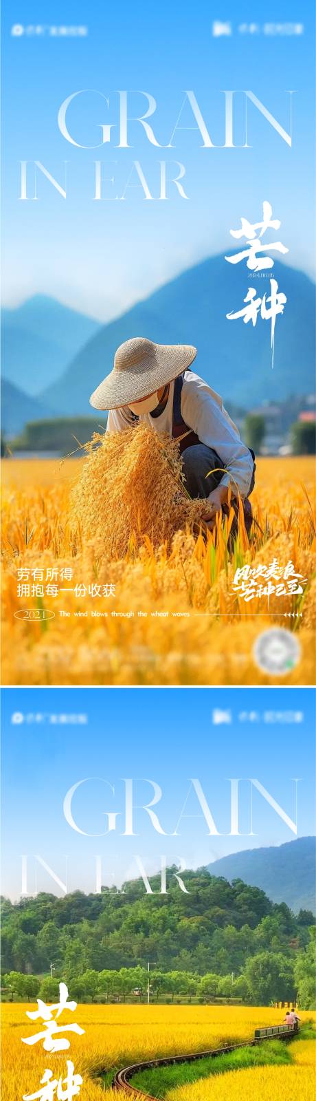 源文件下载【芒种节气海报】编号：11230024147554308