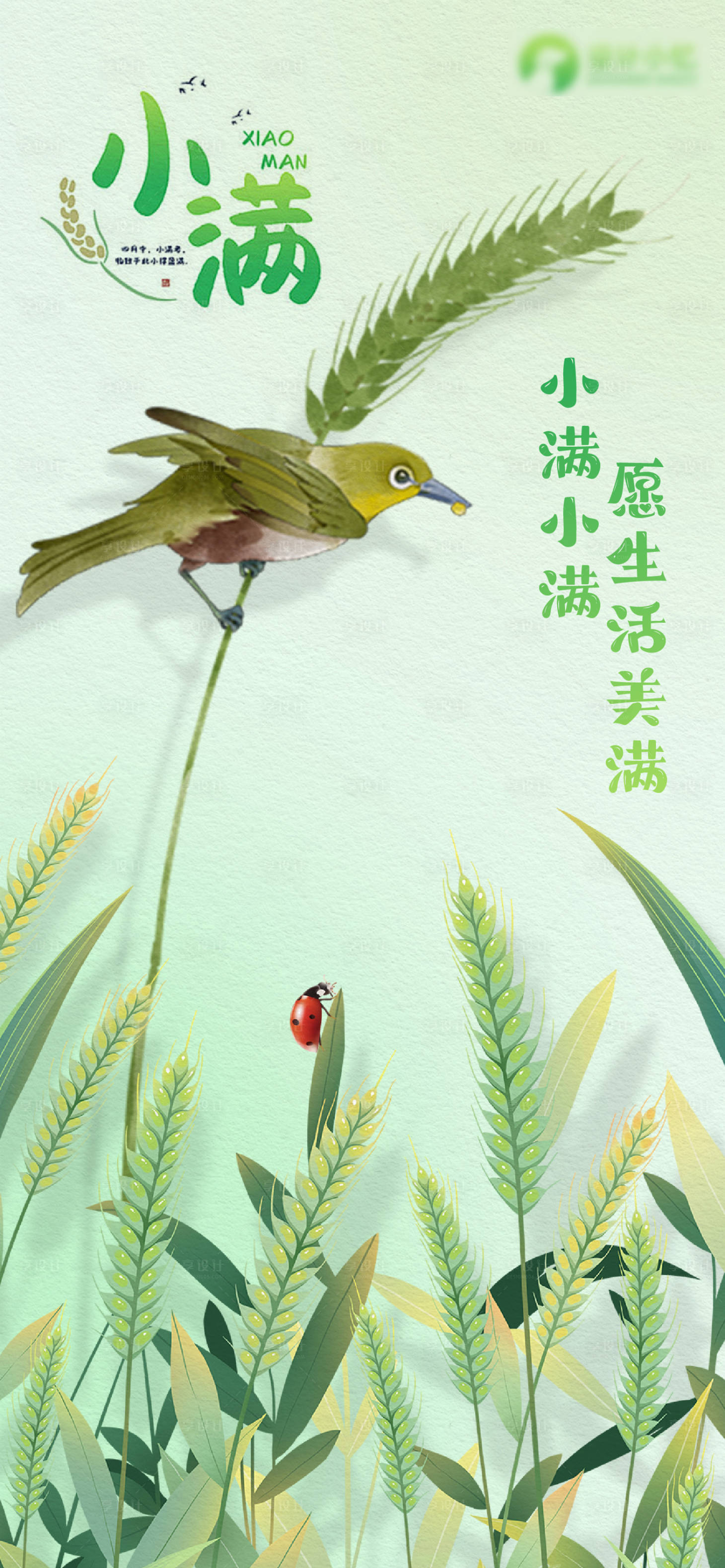源文件下载【享设计】搜索编号：51770023755674008【地产插画绿色小满海报】