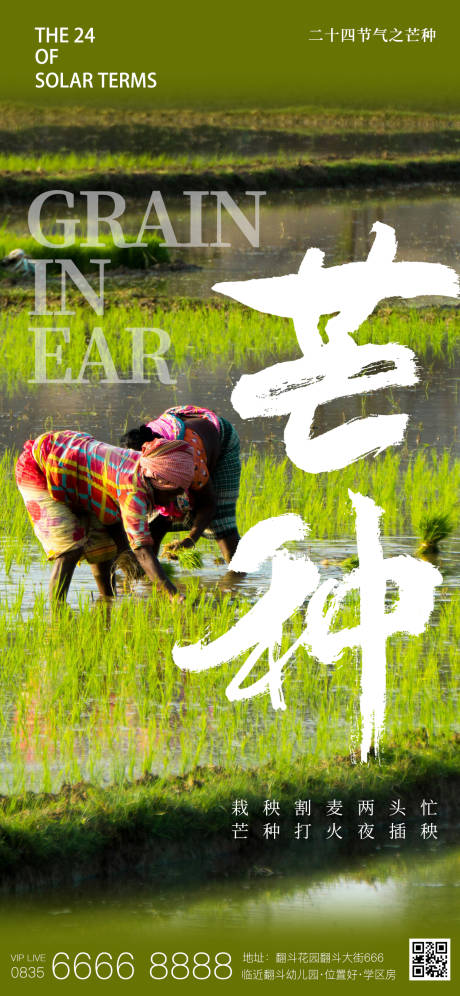 源文件下载【享设计】搜索编号：75960024193987161【芒种二十四节气创意海报】