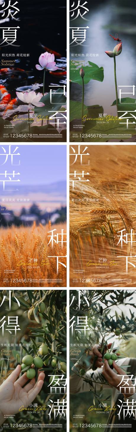 源文件下載【小滿芒種夏至節氣海報】編號：11300023840326212