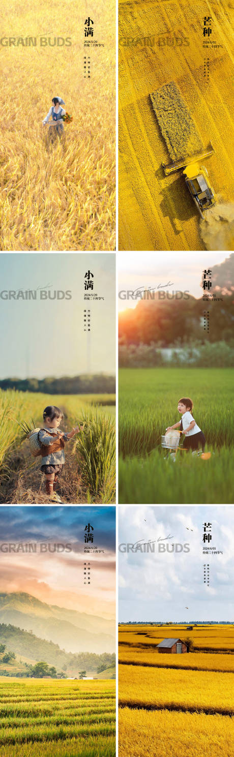 源文件下載【享設計】搜索編號：93650023824571410【小滿芒種24節氣豐收系列海報】