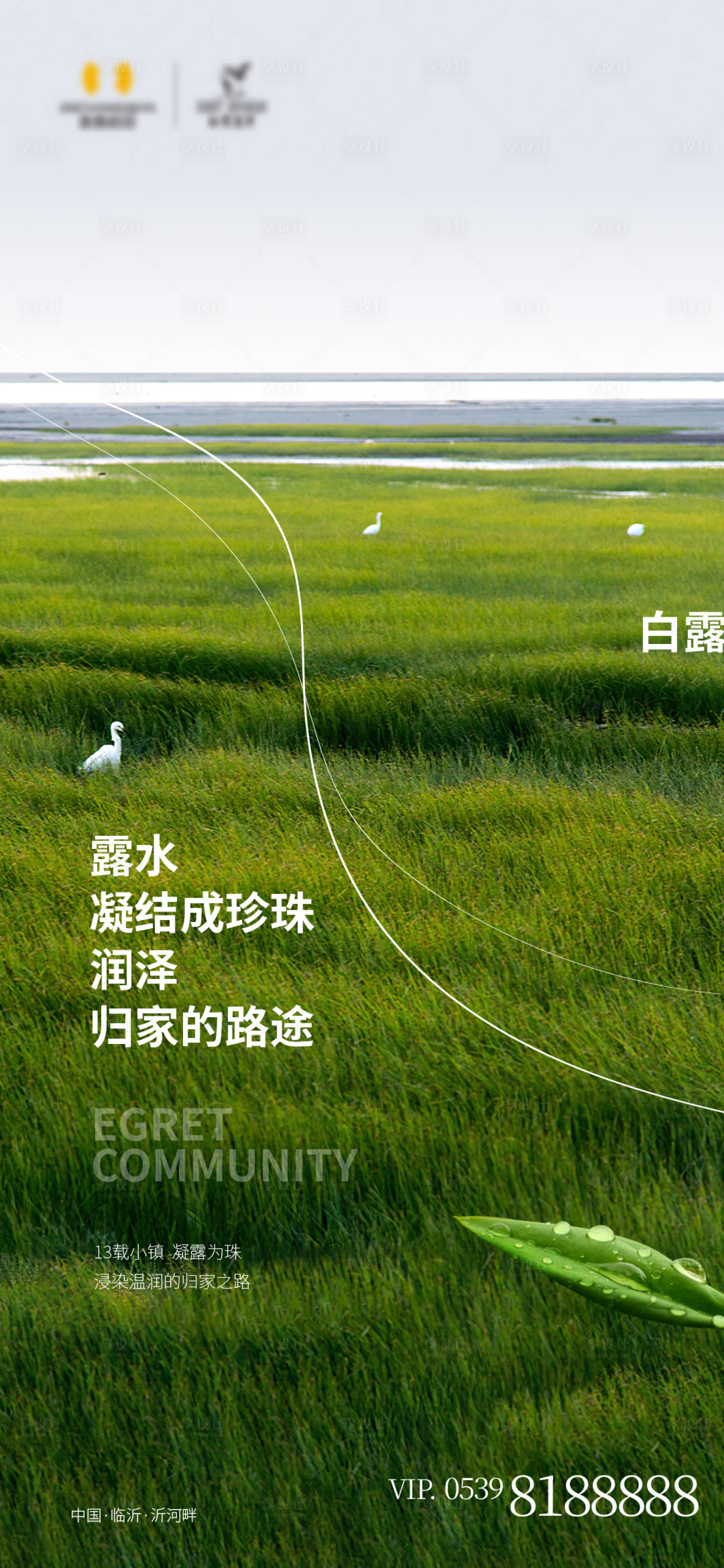 源文件下载【享设计】搜索编号：65450023932944224【白露海报】