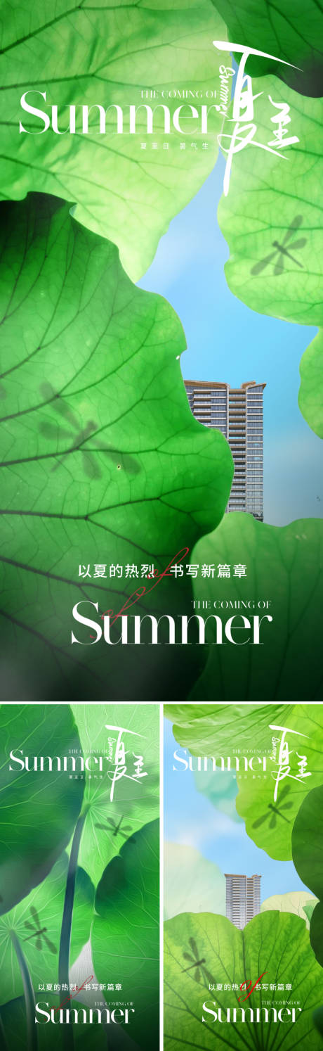 源文件下载【地产夏至节气海报】编号：95970023870349348