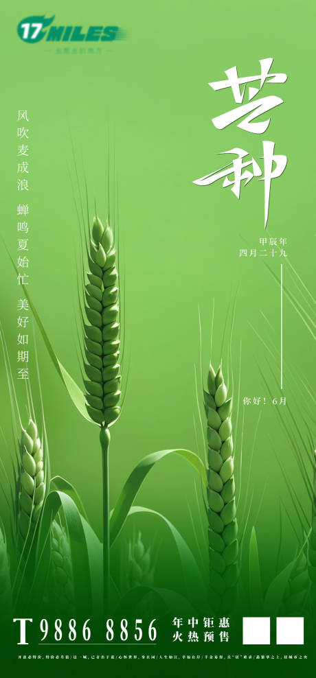 源文件下載【享設計】搜索編號：15450024080228998【芒種節氣海報】