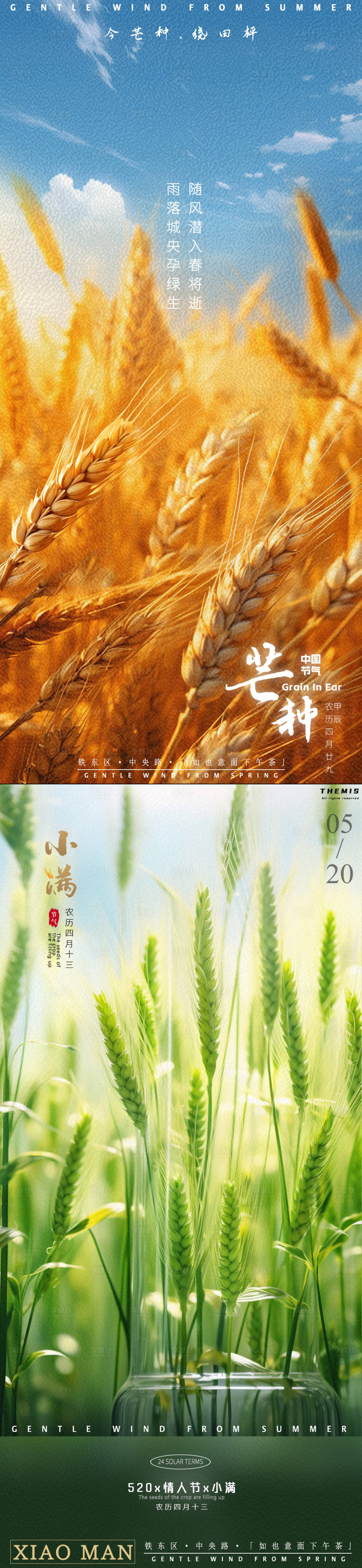 源文件下載【享設計】搜索編號：62320023933584384【小滿芒種麥田】