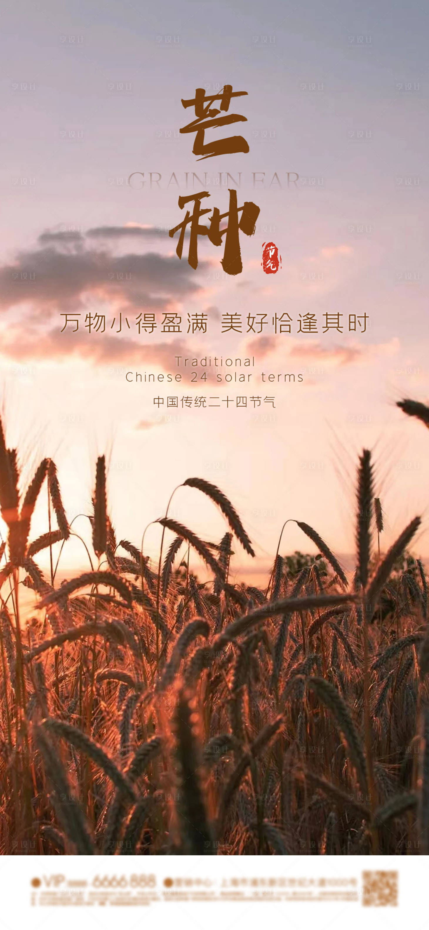 源文件下载【芒种 节气海报】编号：55070024084794901