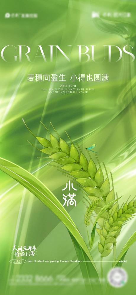 源文件下载【小满节气海报】编号：48830023858524247