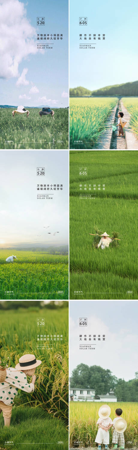源文件下載【小滿芒種24節氣海報】編號：38030023817012028