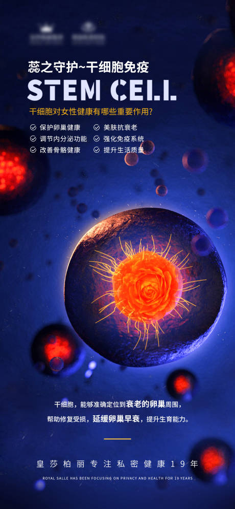 源文件下载【私密干细胞海报】编号：26710023766783846