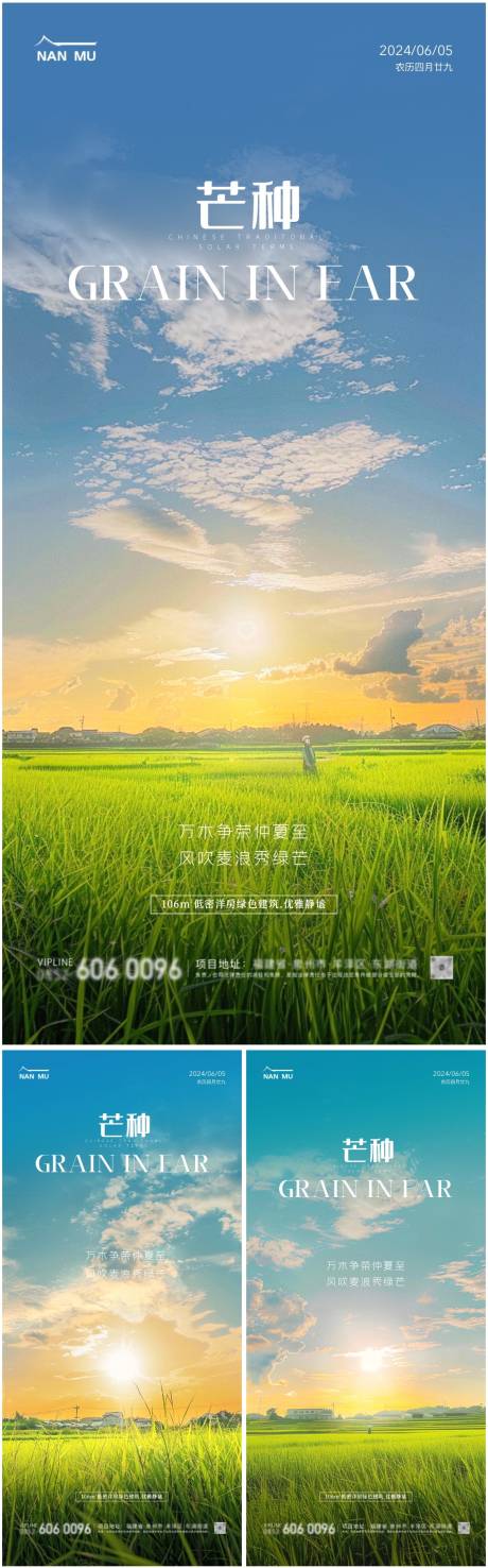 源文件下载【地产芒种系列海报】编号：23120024248013158