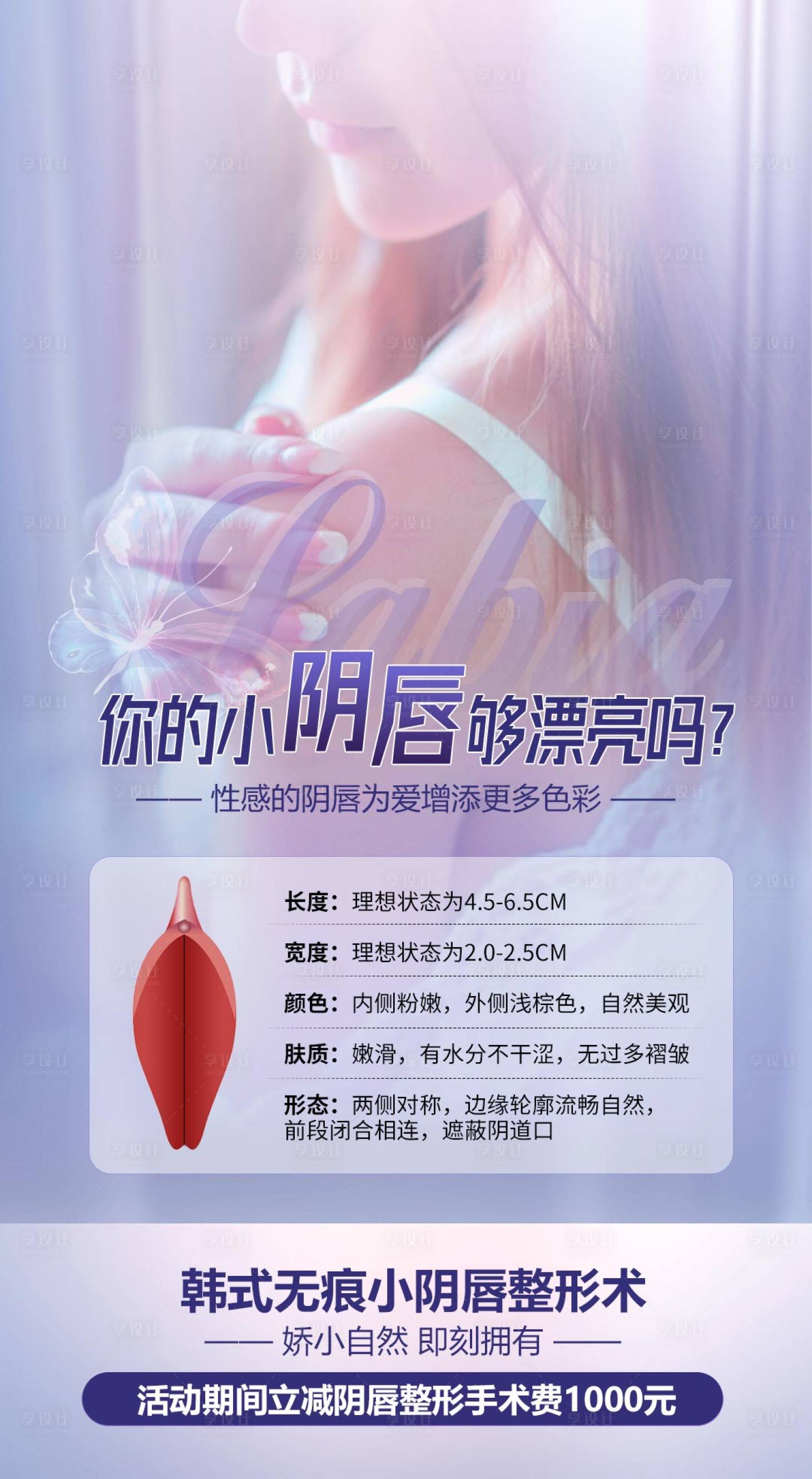 源文件下载【私密海报】编号：23890023693836902