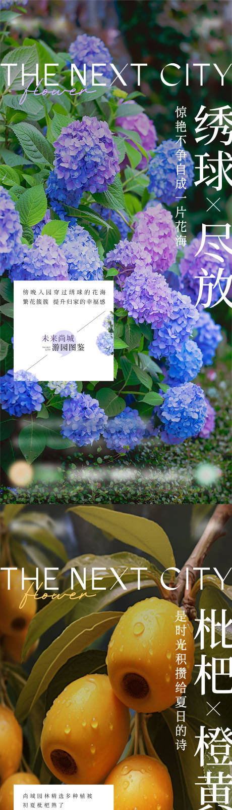 源文件下载【植物海报】编号：58790024229825267