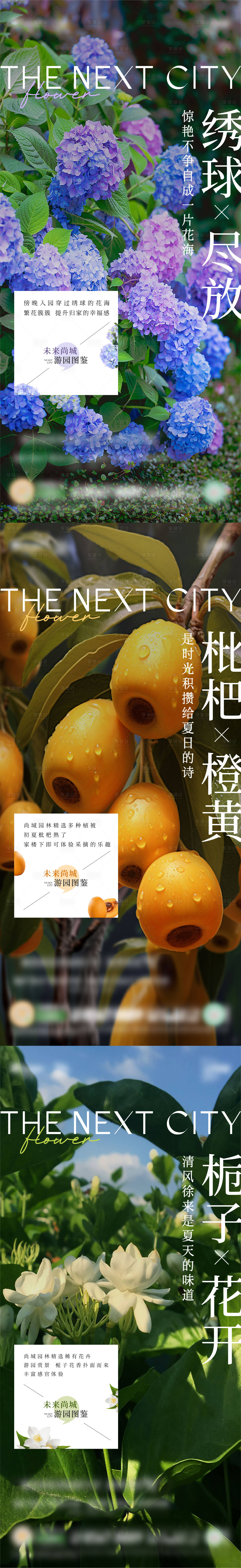 源文件下載【享設(shè)計】搜索編號：58790024229825267【植物海報】