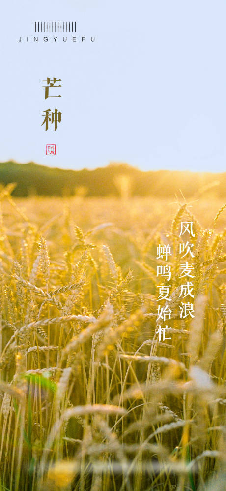 源文件下载【芒种节气节日宣传海报】编号：31320024250844058