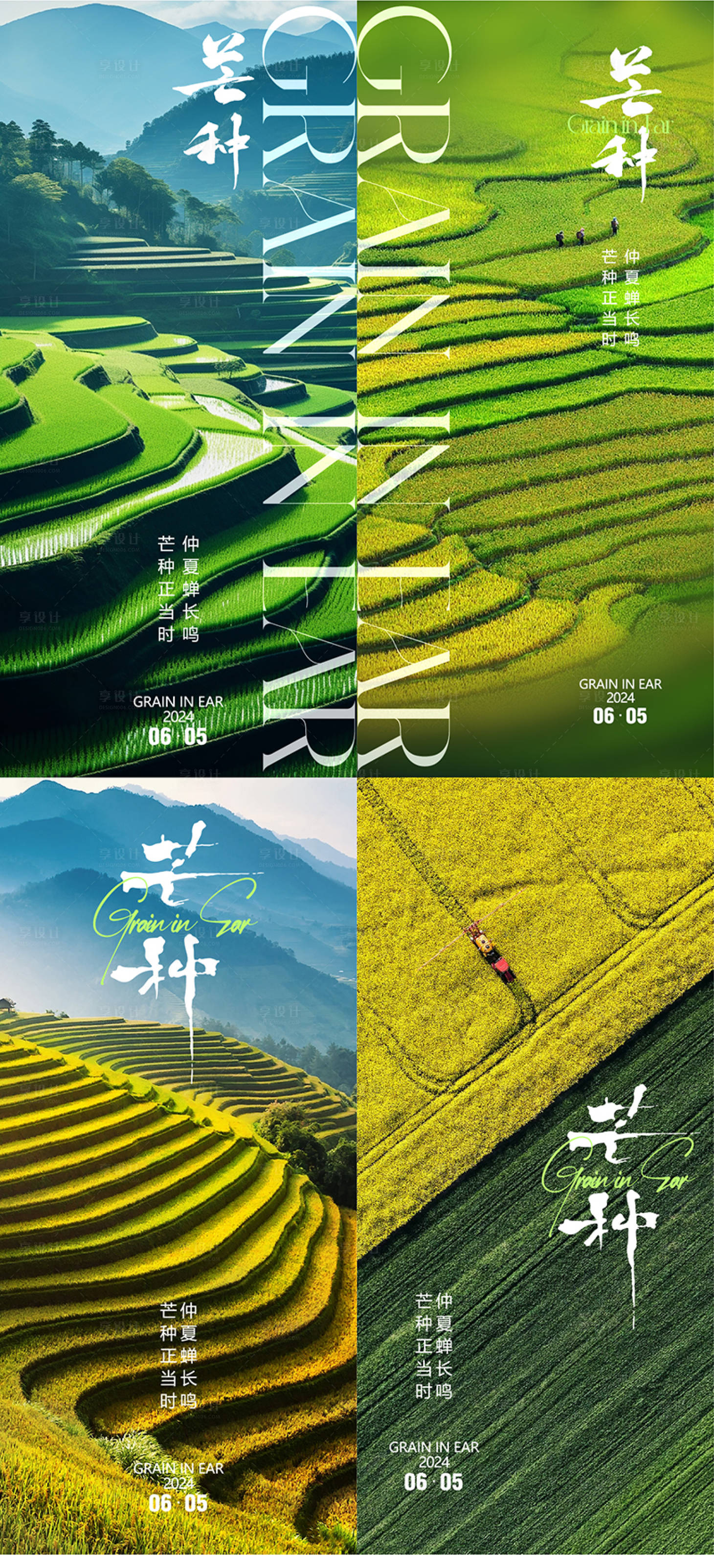 源文件下载【享设计】搜索编号：20880024209319018【芒种节气系列海报】