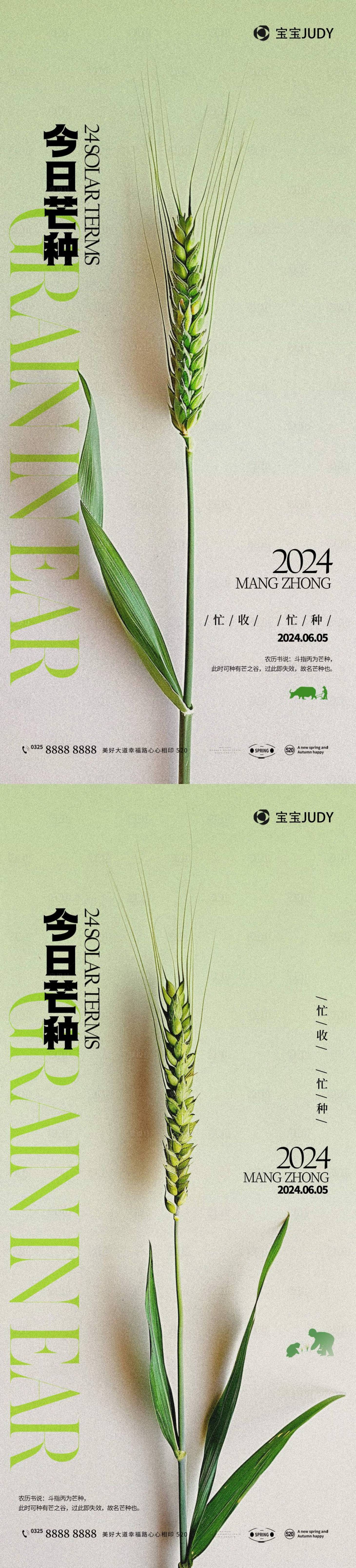 源文件下载【享设计】搜索编号：24280024092335087【芒种节气海报】