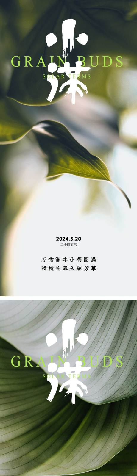 源文件下載【享設計】搜索編號：40330023706879882【小滿節氣海報  】
