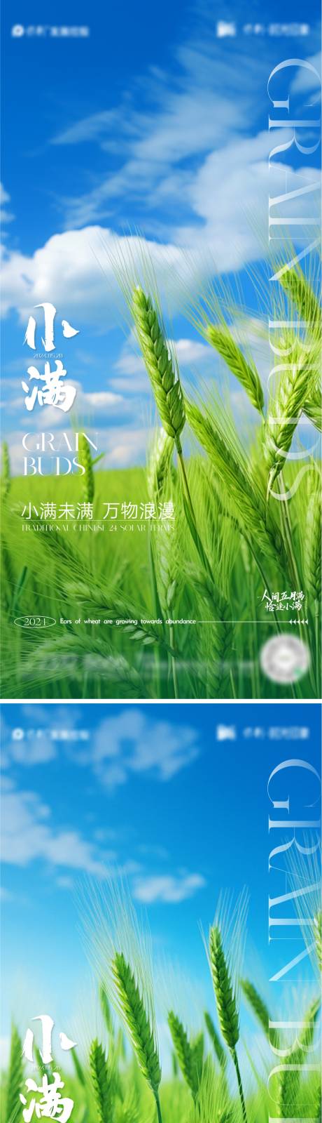源文件下载【小满节气海报】编号：35940023952584613