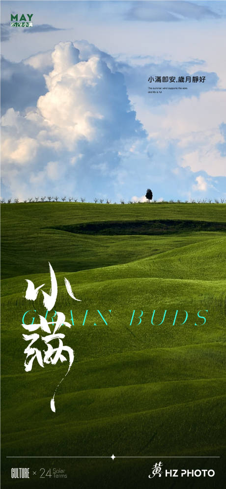 源文件下載【小滿節氣海報】編號：47560023804028624