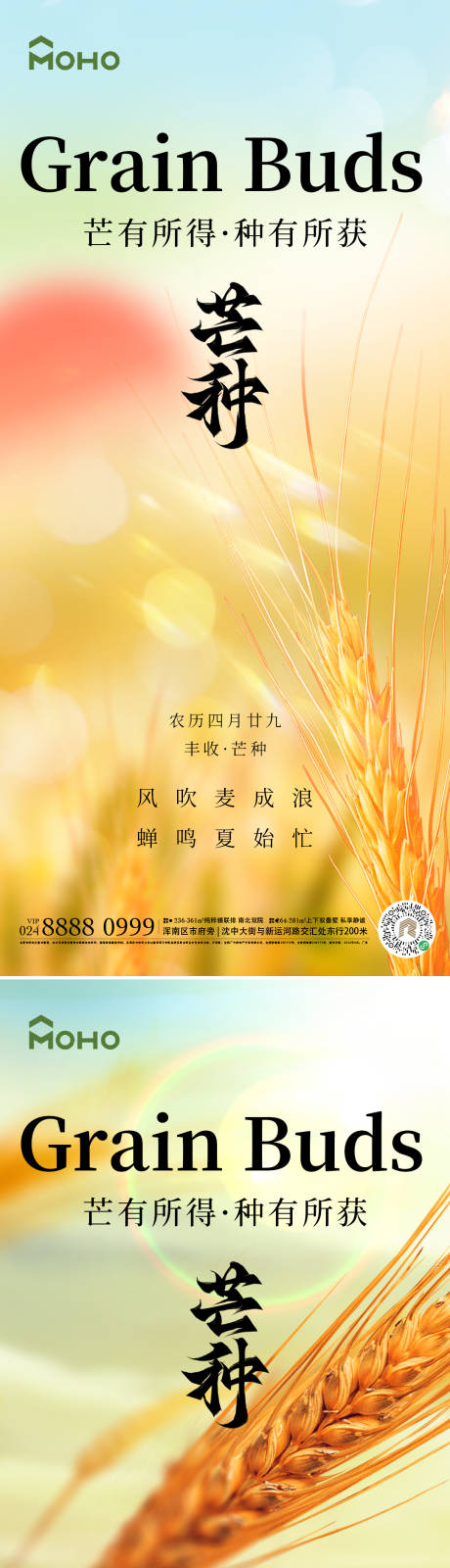 源文件下載【享設計】搜索編號：43880024109362523【芒種】