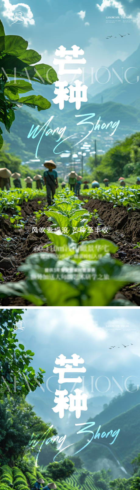 源文件下載【享設計】搜索編號：83240024166023854【芒種節氣海報】