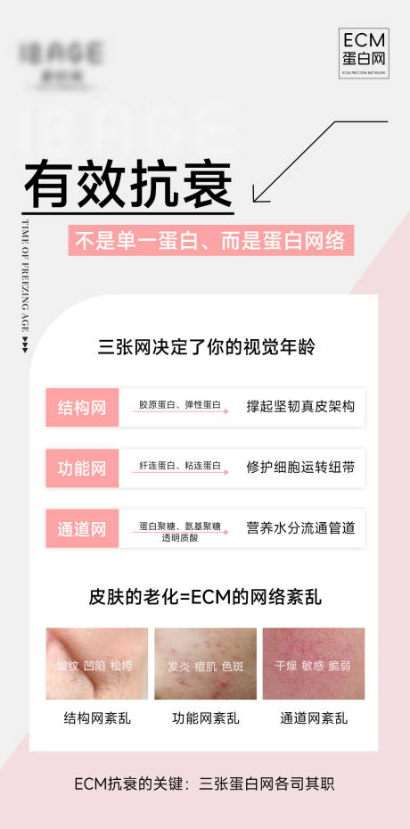 源文件下载【揭秘ecm衰老的根源】编号：67830023739395623