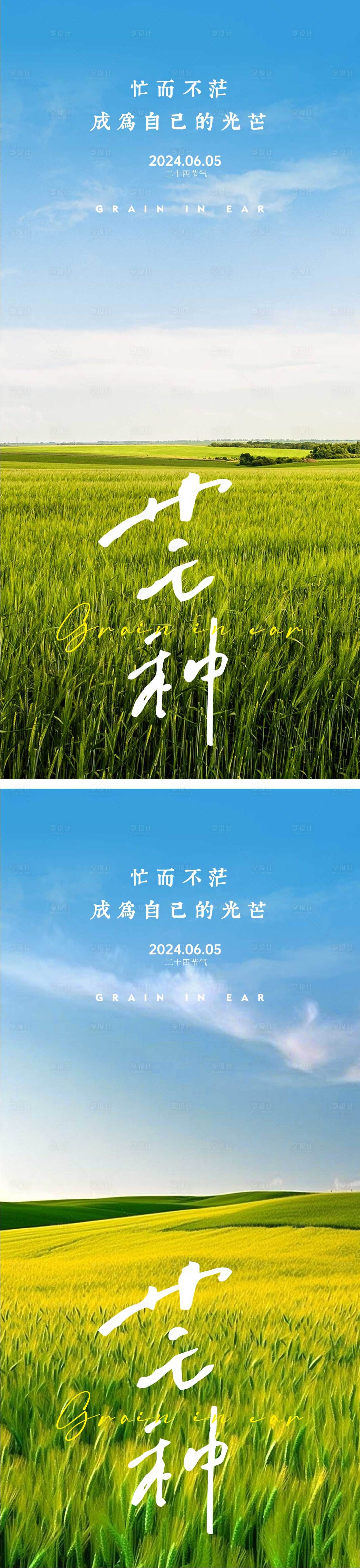 源文件下载【享设计】搜索编号：15430023884225716【芒种节气海报】