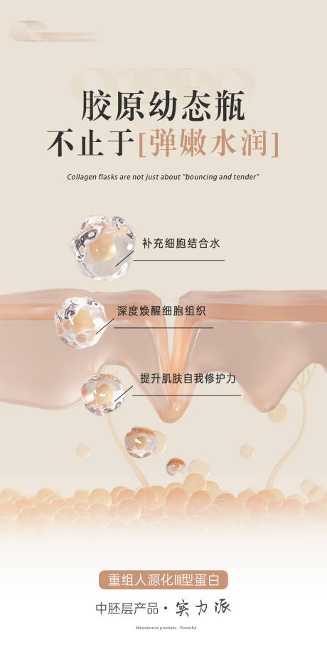 源文件下载【胶原蛋白再生材质介绍】编号：26090024218892340
