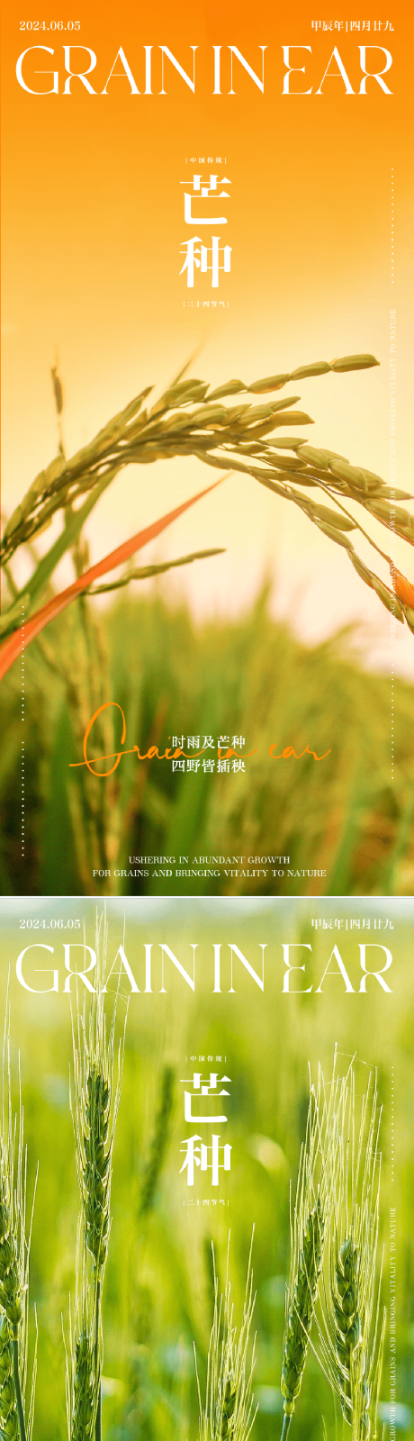源文件下载【二十四节气芒种海报】编号：72830024171609672