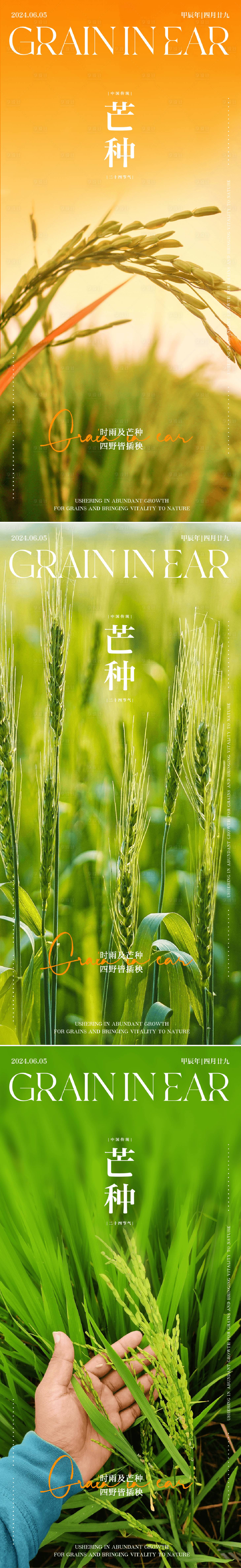 源文件下載【享設計】搜索編號：72830024171609672【二十四節氣芒種海報】