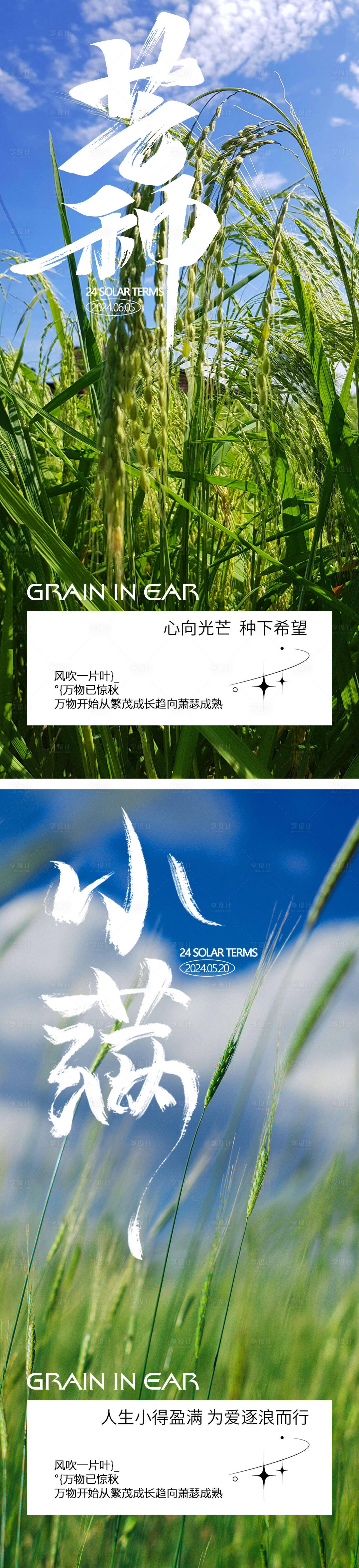 源文件下载【二十四节气芒种小满系列海报】编号：64500024077264750