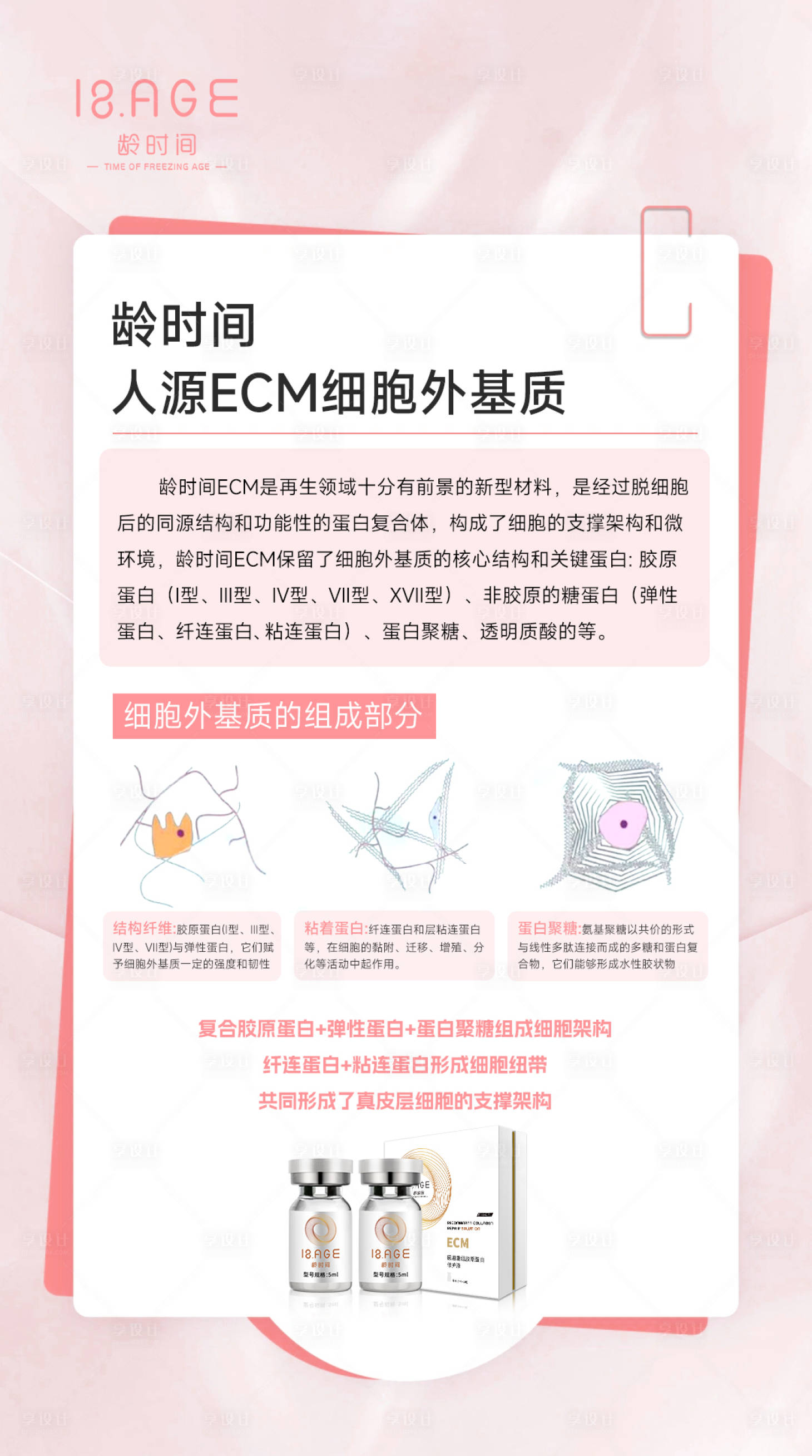 源文件下載【享設(shè)計(jì)】搜索編號：26000023956585418【人源ECM細(xì)胞外基質(zhì)簡約海報】