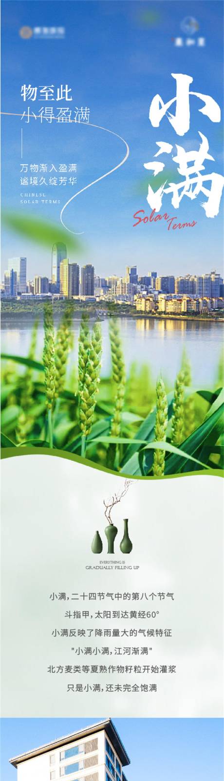 源文件下载【二十四节气小满长图】编号：31530023948049771