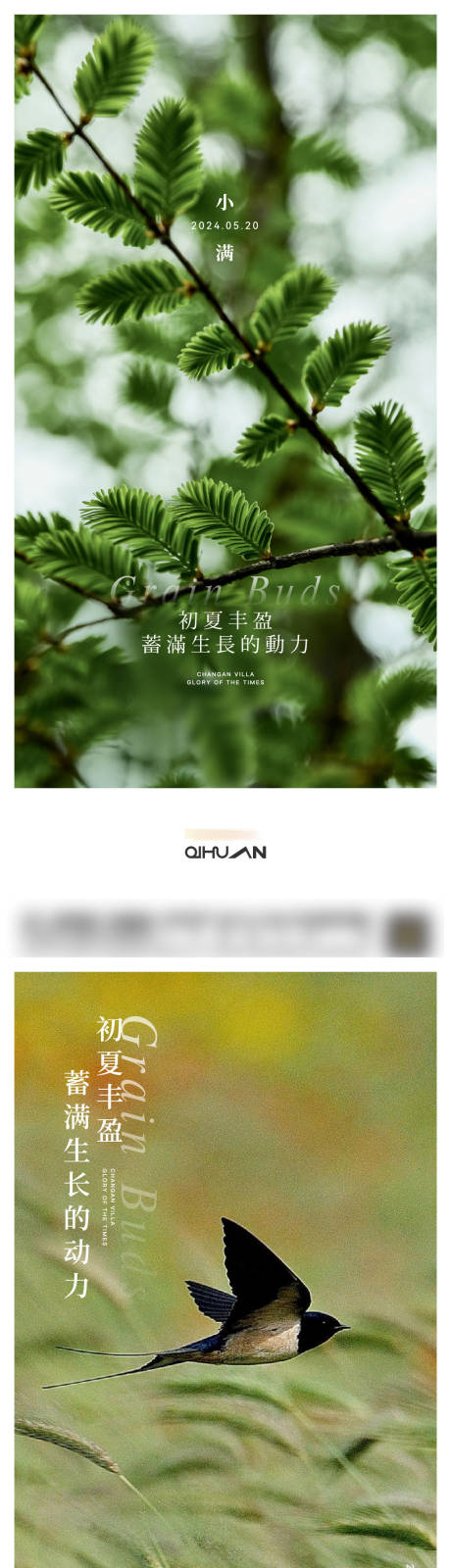 源文件下载【享设计】搜索编号：92400023887449390【小满节气海报】