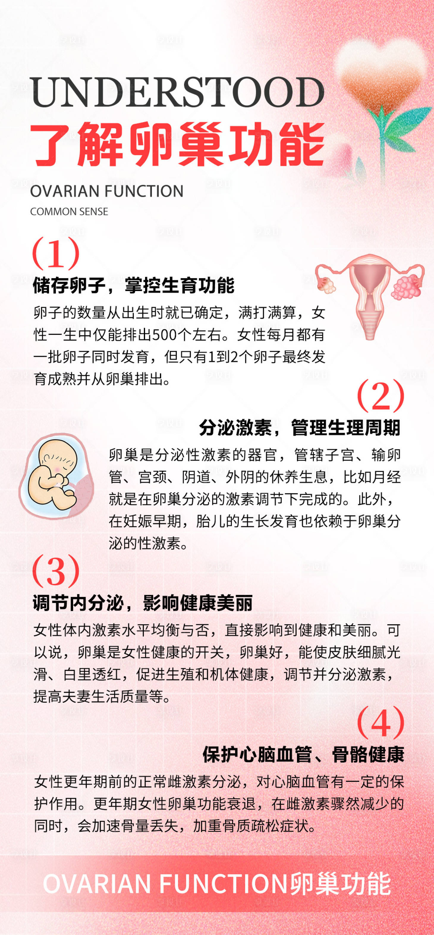 源文件下載【享設計】搜索編號：44420024524492541【卵巢功能海報】